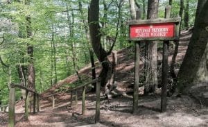 rezerwat przyrody zajęcze wzgórze