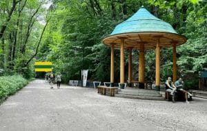 Sopot Szlak Mew