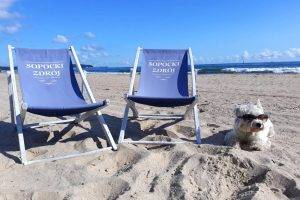 Hotel Sopocki Zdrój - pokoje i apartamenty blisko plaży