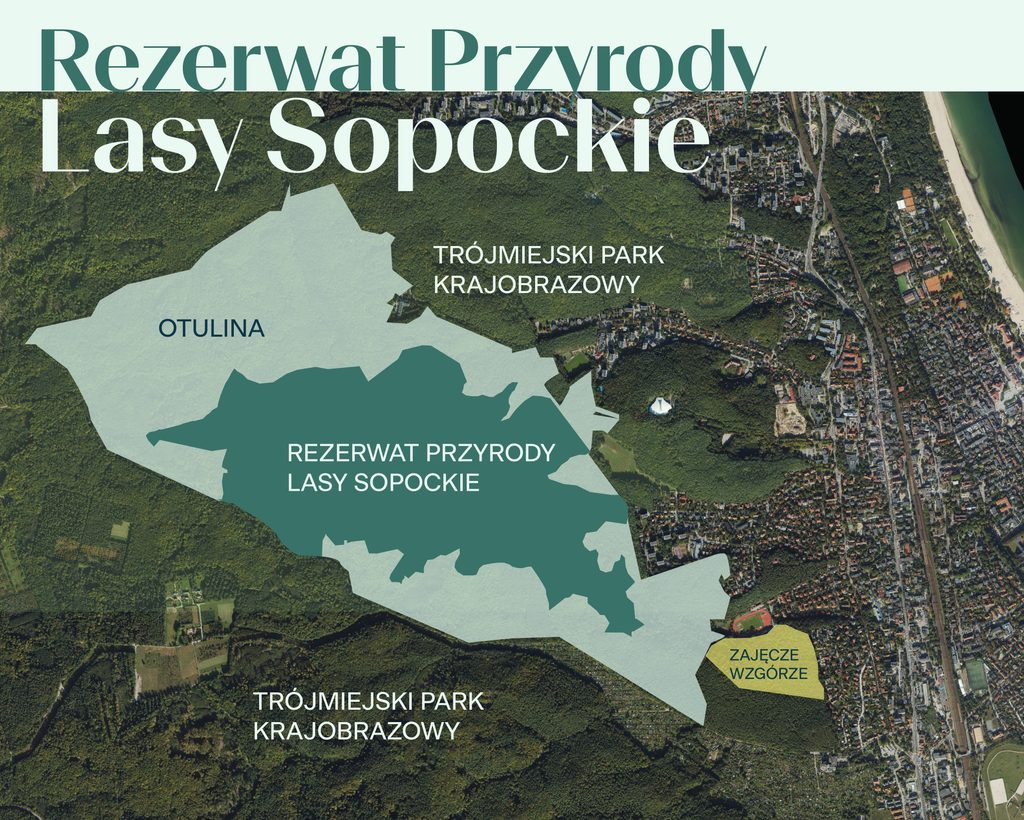 Rezerwat Przyrody Lasy Sopockie
