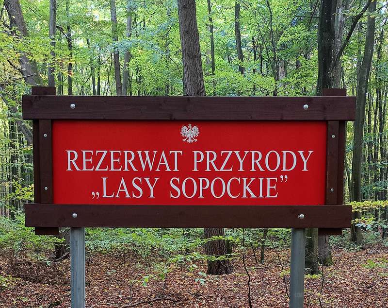 Rezerwat Przyrody Lasy Sopockie